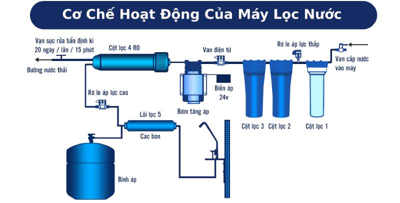 cơ chế hoạt động